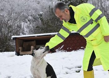 Sokak hayvanları Bursa’da sahipsiz değil