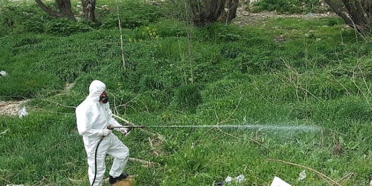 Bahar İlaçlaması Başladı