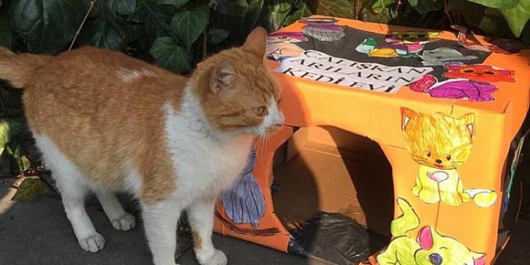 “Minik Kalplerden Bir Avuç Mama”