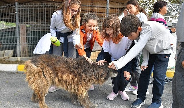 Beylikdüzü’nde Patili Dostlar Mutlu
