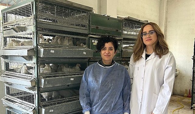 Ege’de “Tavuk koronavirüs aşılarında yerli ve milli adjuvan geliştirilecek”